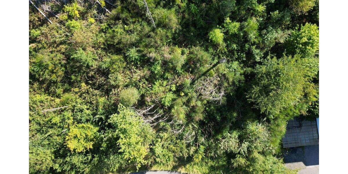 Grundstück Bergneustadt Wiedenest - 69.000&euro; | Angebot:25666269