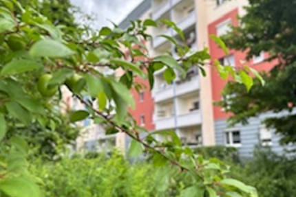 Lichtduchflutete 4-Raum-Eigentumswohnung mit Balkon in grüner Lage von Coswig