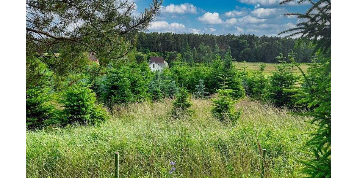 Grundstück Bad Schmiedeberg Großwig - 44.000&euro; | Angebot:25679426