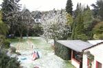 Einfamilienhaus Bottrop Batenbrock - 350.000&euro; | Angebot:25265923