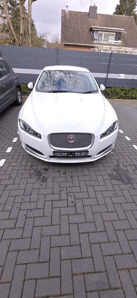 XF