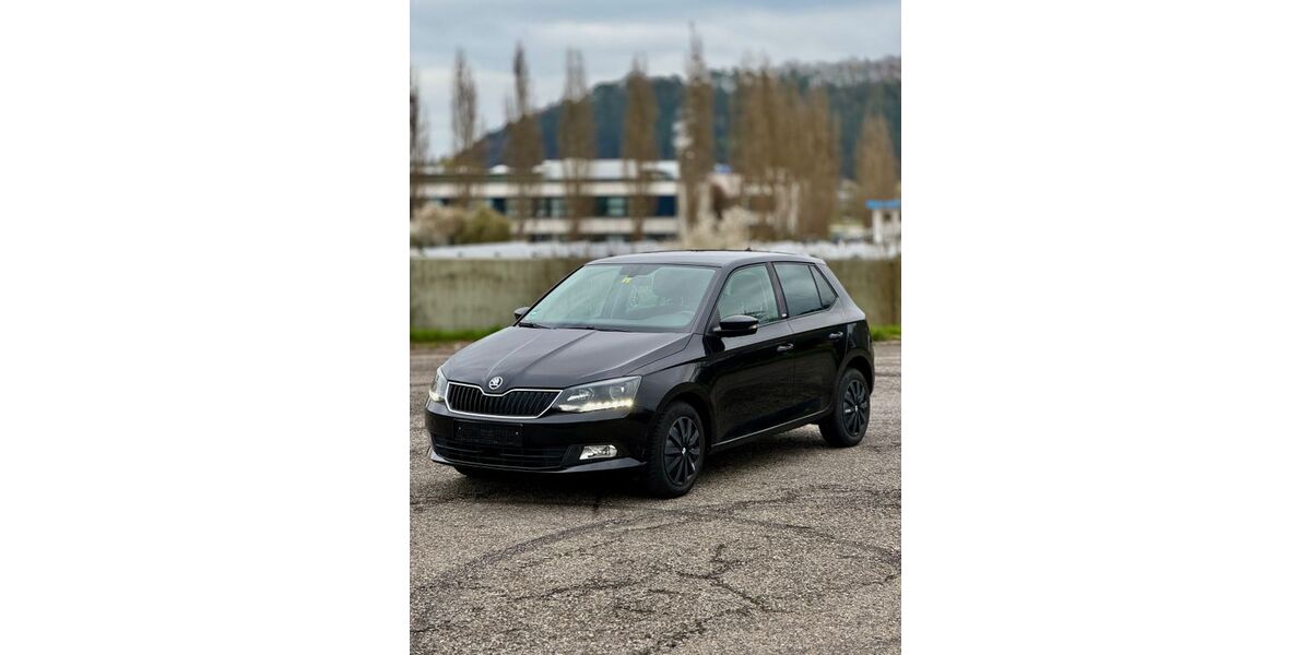 Skoda Fabia 176.000 km 6.000 &euro; Tuttlingen 78532