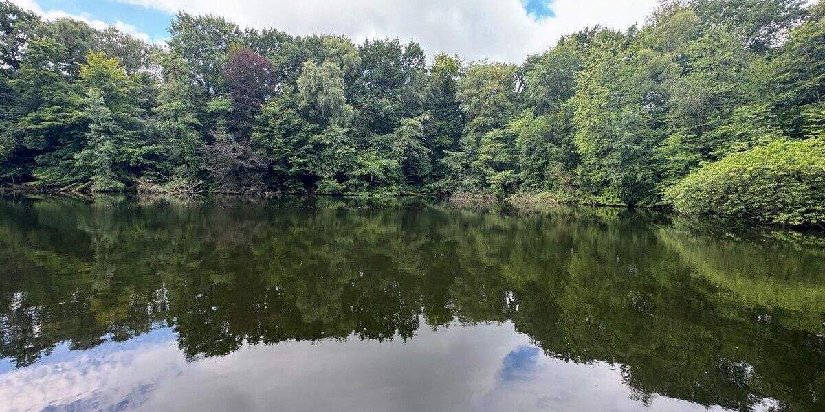 Exklusive Seeliegenschaft in Großenkneten 31.404m² Naturidyll mit privatem Steg und eigenem Wäldchen zimmer