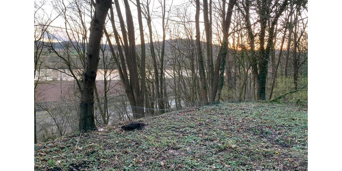 Haus, Immobilie, Traumhaus, Einfamilienhaus zimmer