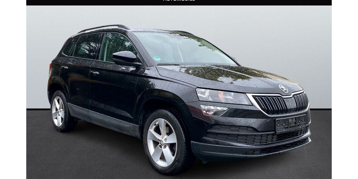 Skoda Karoq 140.800 km 17.999 € Fulda 36043