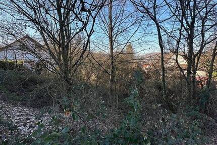 Besser geht es nicht mehr: Interessantes Bauplatz-Paket zum Super-Preis in Lauterecken! zimmer