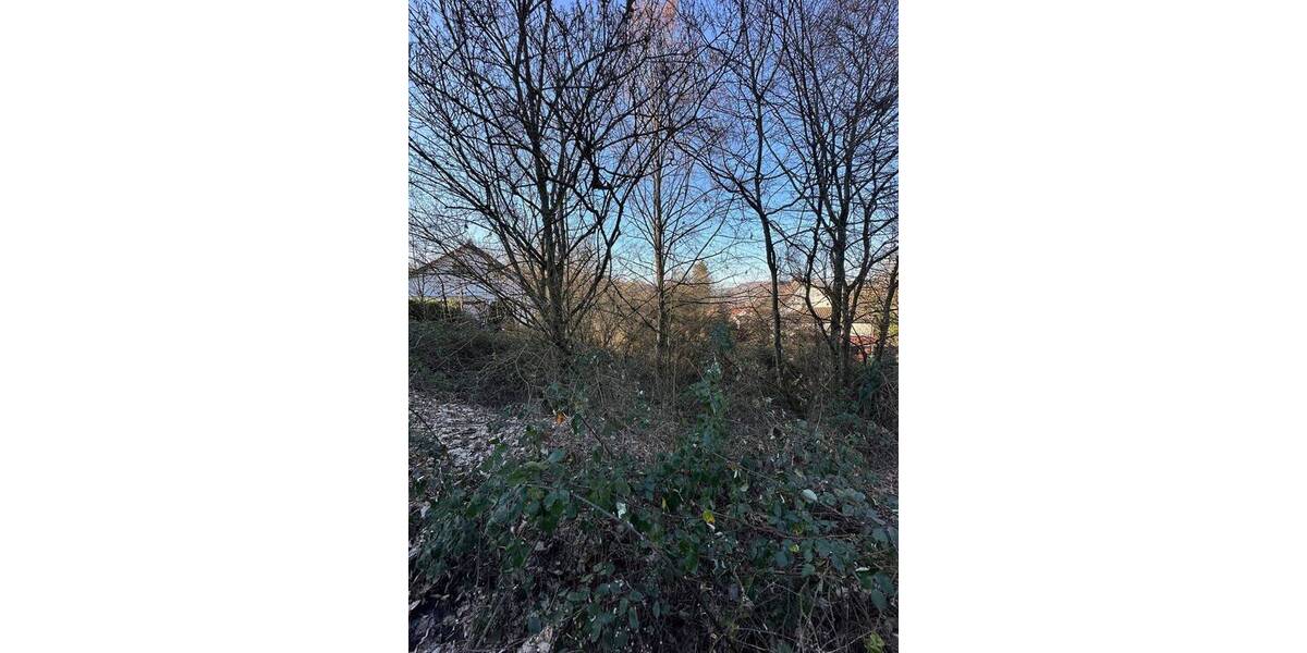 Besser geht es nicht mehr: Interessantes Bauplatz-Paket zum Super-Preis in Lauterecken! zimmer