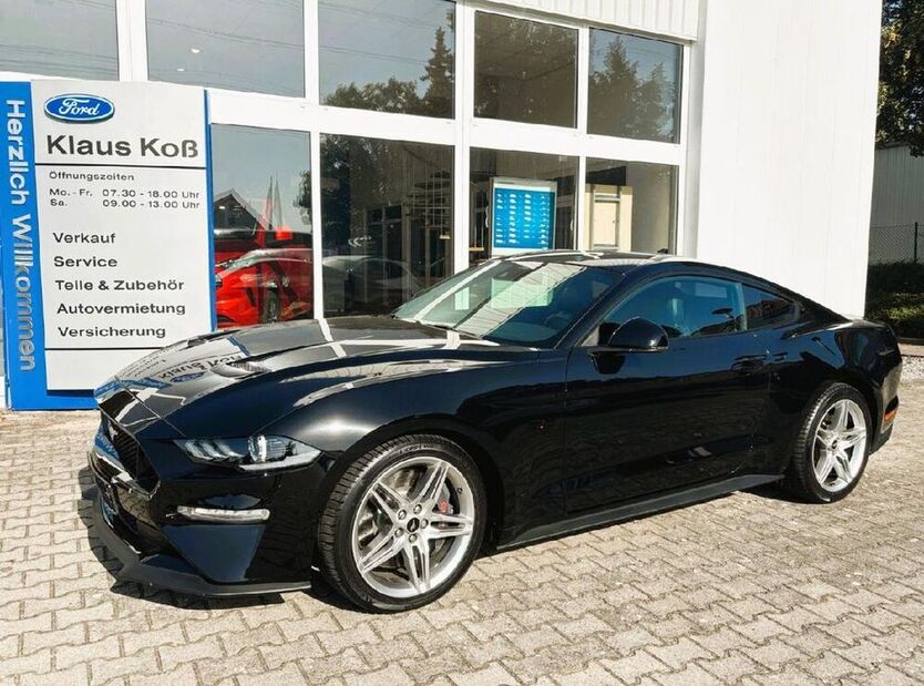 Mustang