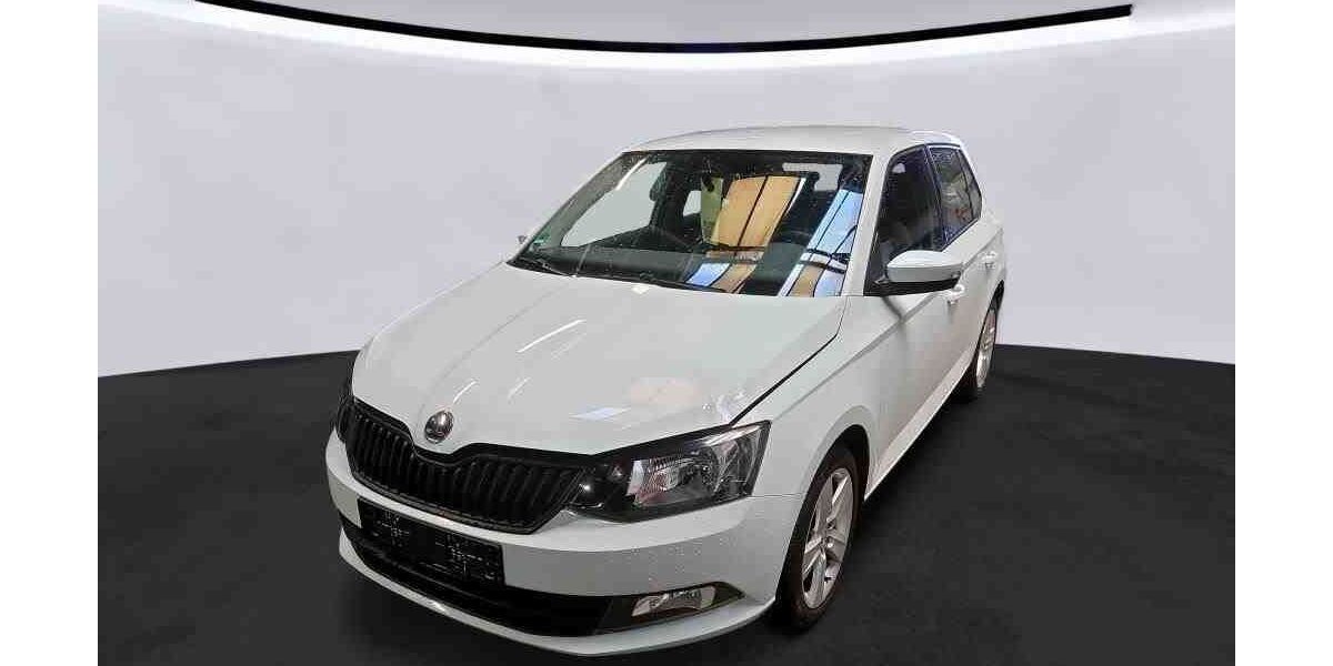 Skoda Fabia 96.605 km 8.300 &euro; Goslar 38642