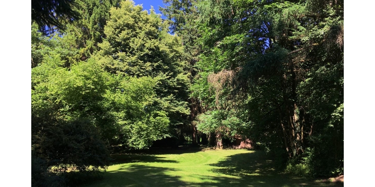 Großes Baugrundstück für exclusives Wohnen am Staffelsee bei Murnau zimmer