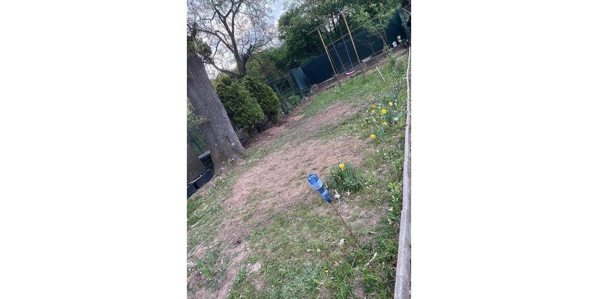 Grundstück Frankfurt am Main Nord-West - 500&euro; | Angebot:25309001