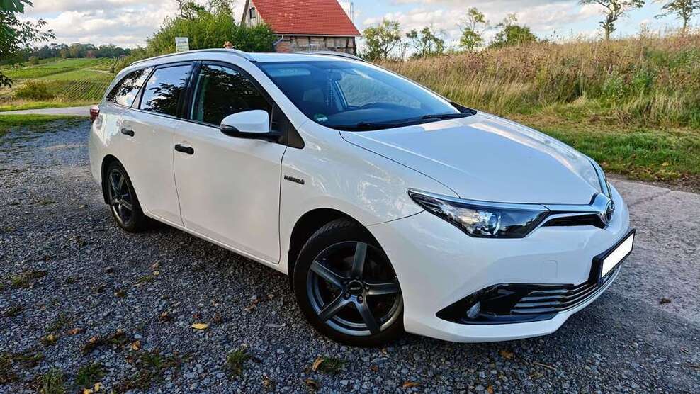 Auris