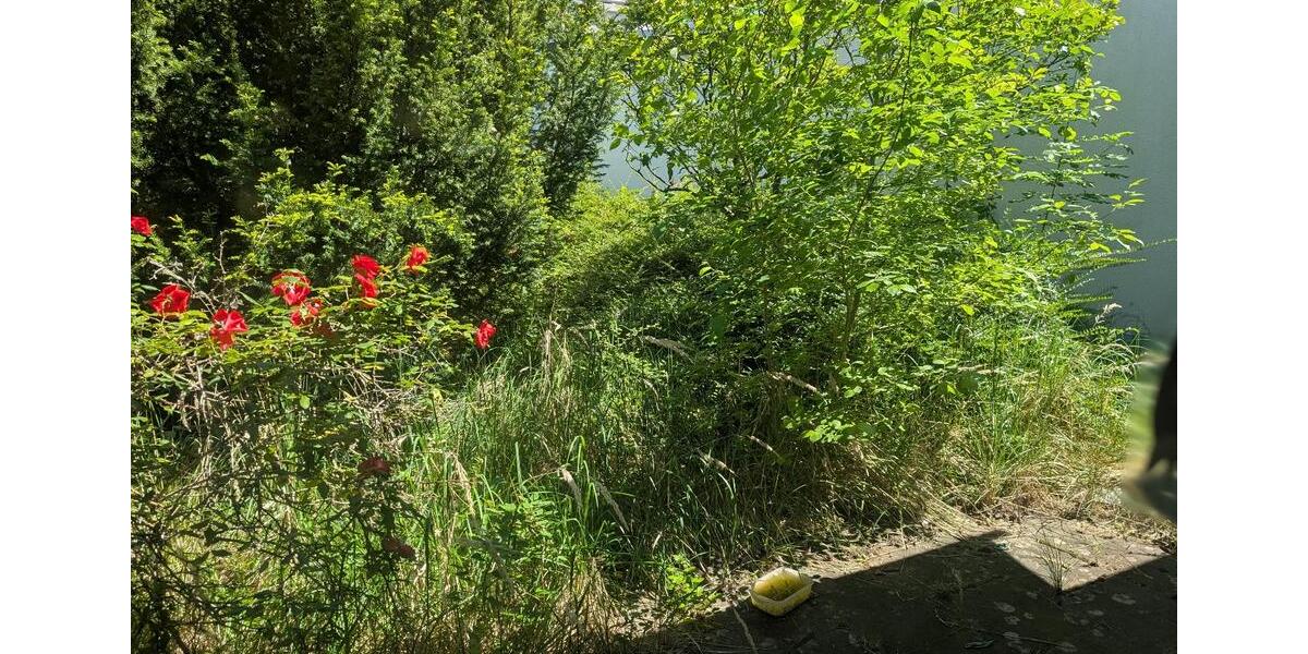 Gewerbeobjekt Düren - 1.200&euro; | Angebot:26679826