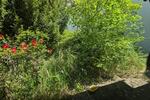 Gewerbeobjekt Düren - 1.200&euro; | Angebot:26679826