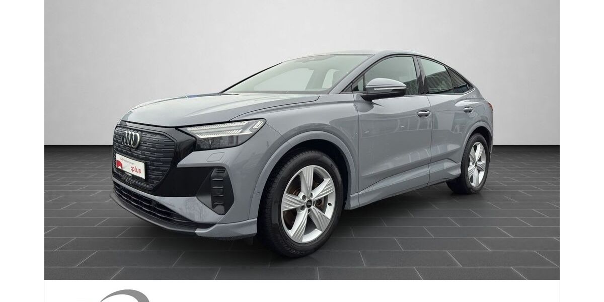 Audi Q4 e-tron 89.000 km 31.440 &euro; Neustadt a.d. Weinstraße 67433