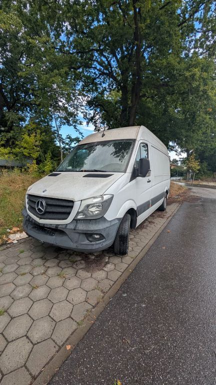 Sprinter