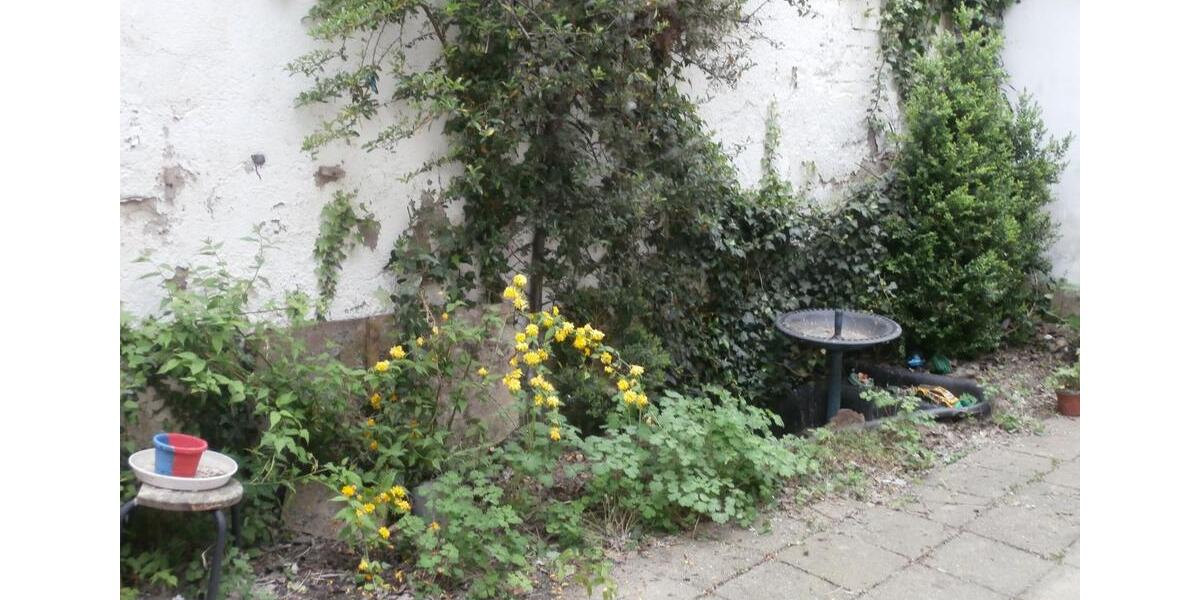 Reihenhaus Zwickau Zwickau-West - 59.500&euro; | Angebot:23214983