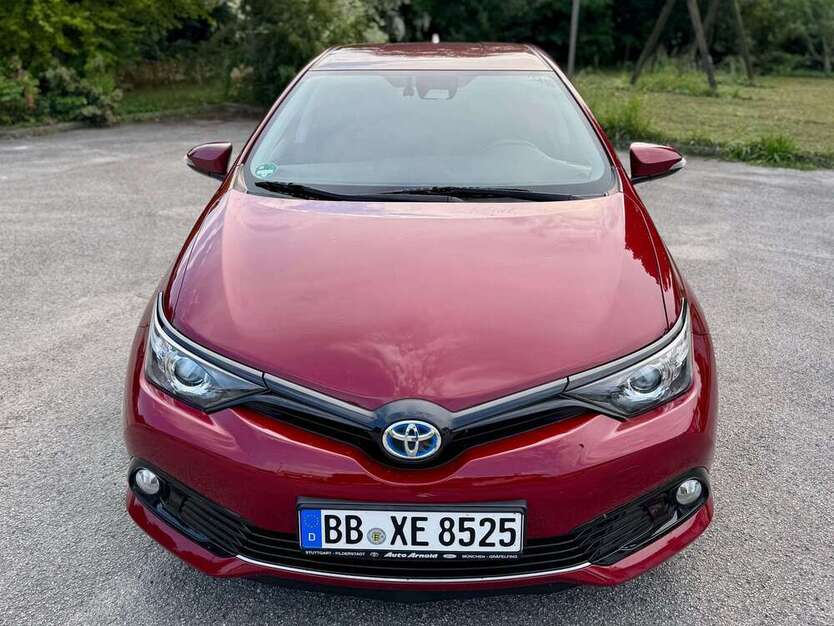 Auris