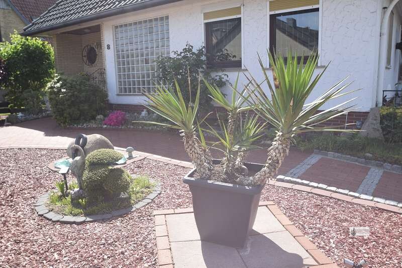 Haus mir Charakter! Garten, Garage, Pool Yaccuzzi, TOP Einrichtung, PV Anlage, Einfach SUPER! - Einfamilienhaus Syke Syke | Angebot:26737396