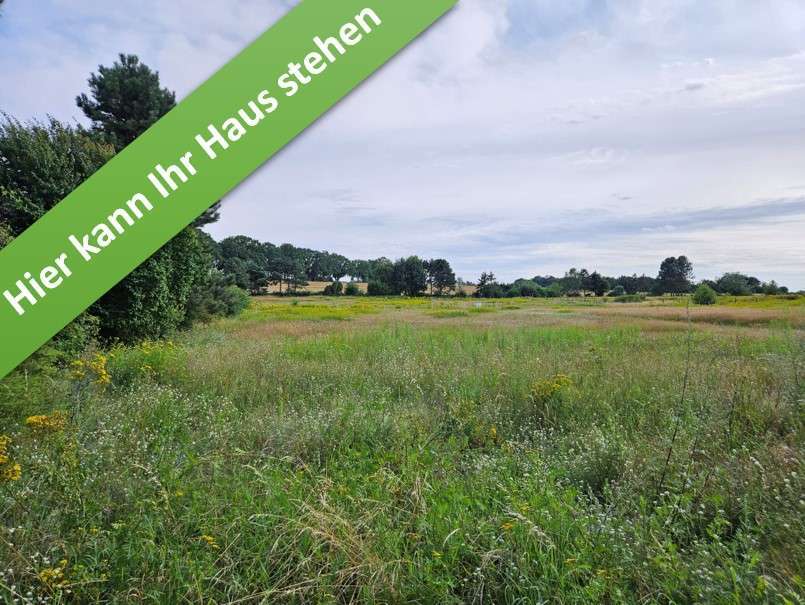 Haus zum Kaufen in Wettmar 375.450 € 119 m²