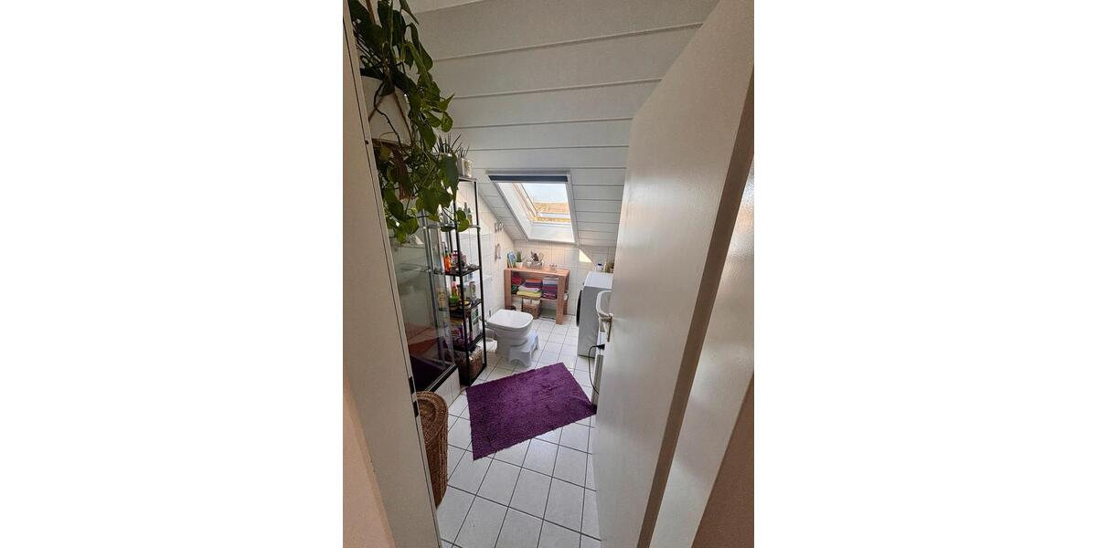 Dachgeschoßwohnung Lehre - 2 Zimmer, 75 m&sup2;, 730&euro; | Angebot:26330383