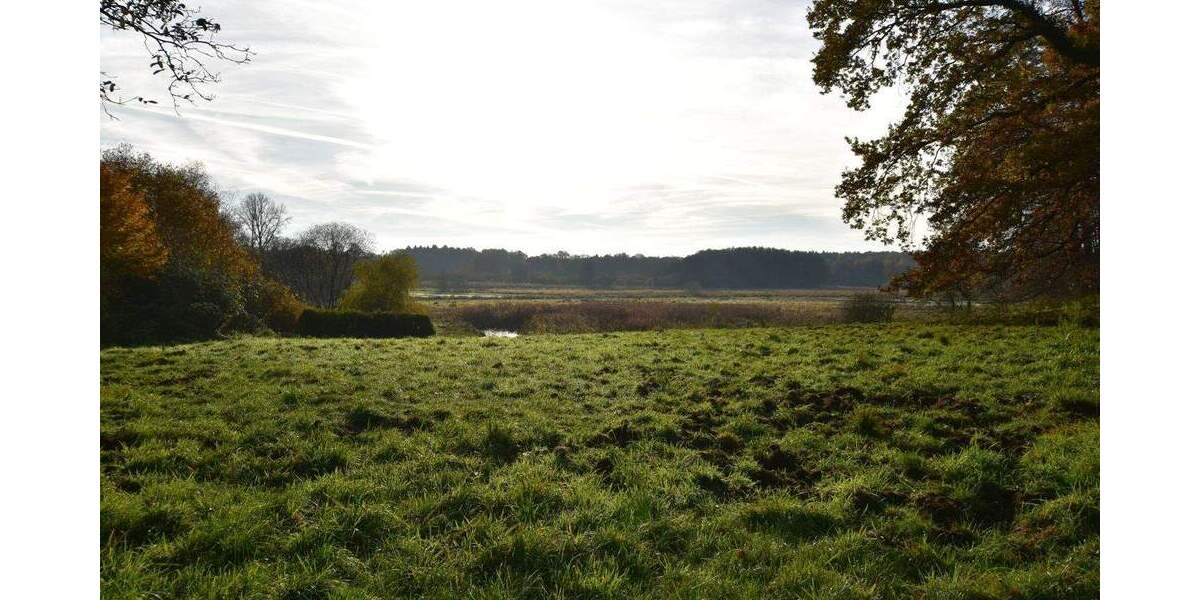 Parkartiges Baugrundstück in 2. Reihe mit unverbaubarem Blick über die Billewiesen zimmer