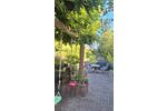 Mehrfamilienhaus, Wohnhaus Erbach - 11 Zimmer, 240 m&sup2;, 449.000&euro; | Angebot:27004759