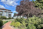 Terrassenwohnung Werder Werder (Havel) - 2 Zimmer, 54 m&sup2;, 755&euro; | Angebot:26080406