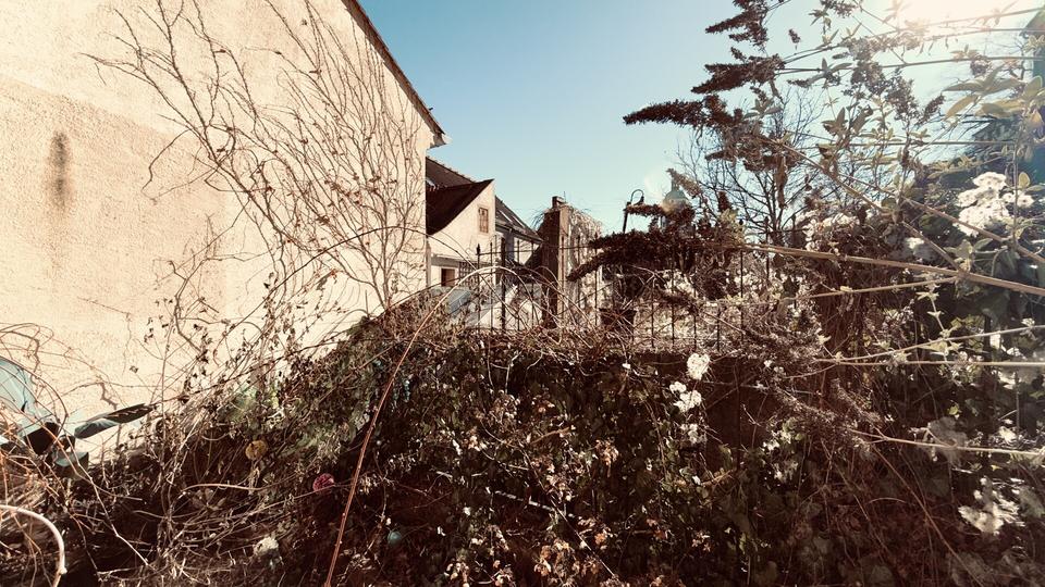 Etagenwohnung Meißen - 3 Zimmer, 110 m&sup2;, 660&euro; | Angebot:26336990