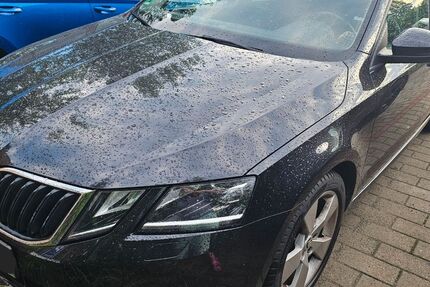Skoda Octavia 148.000 km 11.900 &euro; Berlin 12623