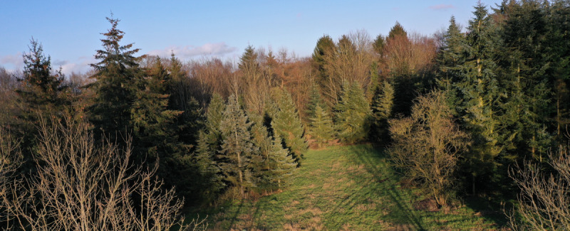 Grundstück Lintig Lintig - 190.000&euro; | Angebot:25676065