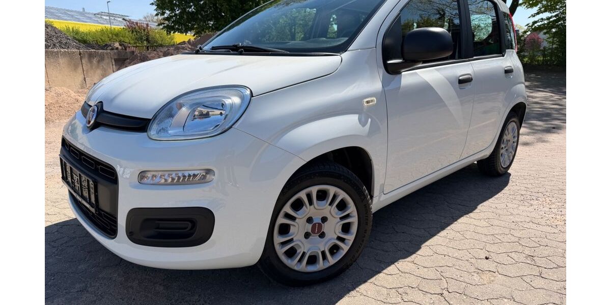 Fiat Panda 59.700 km 7.900 &euro; Minden 32429