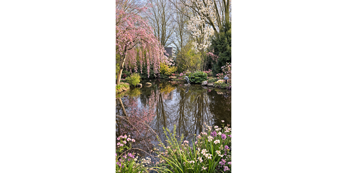 Einfamilienhaus Kempen - 7 Zimmer, 323 m&sup2;, 699.000&euro; | Angebot:25601965