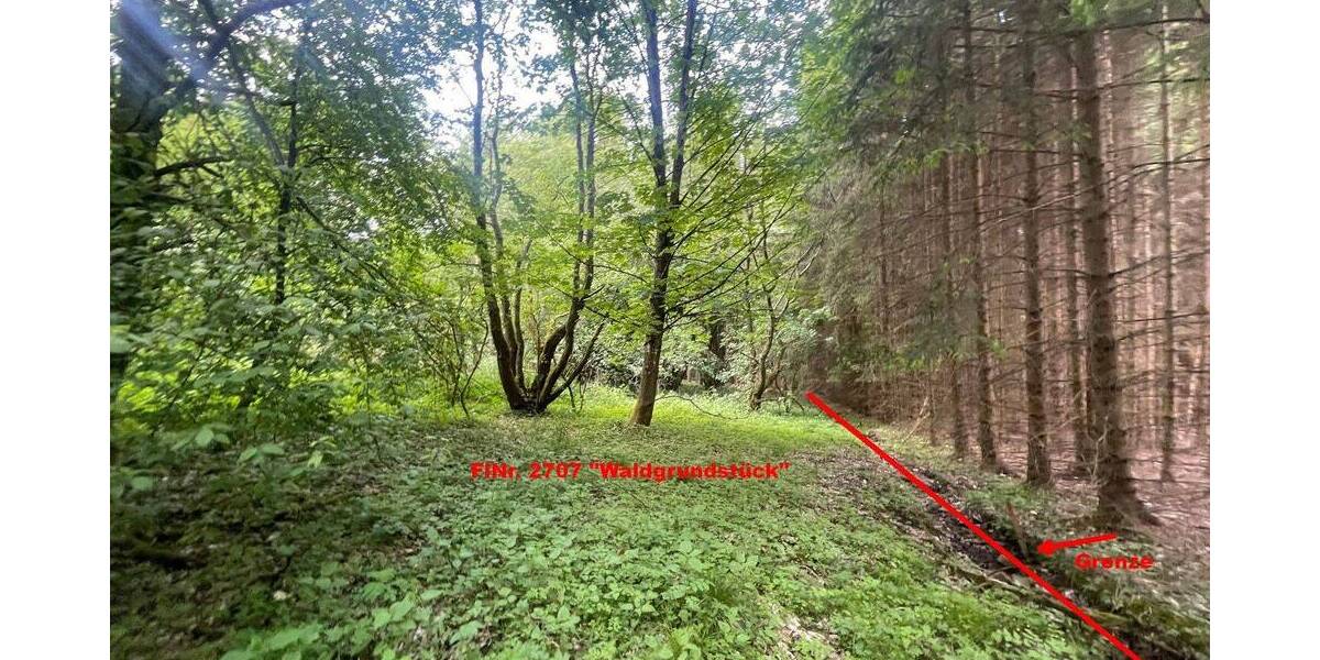 Grundstück Wildflecken Oberbach - 10.000&euro; | Angebot:25696672