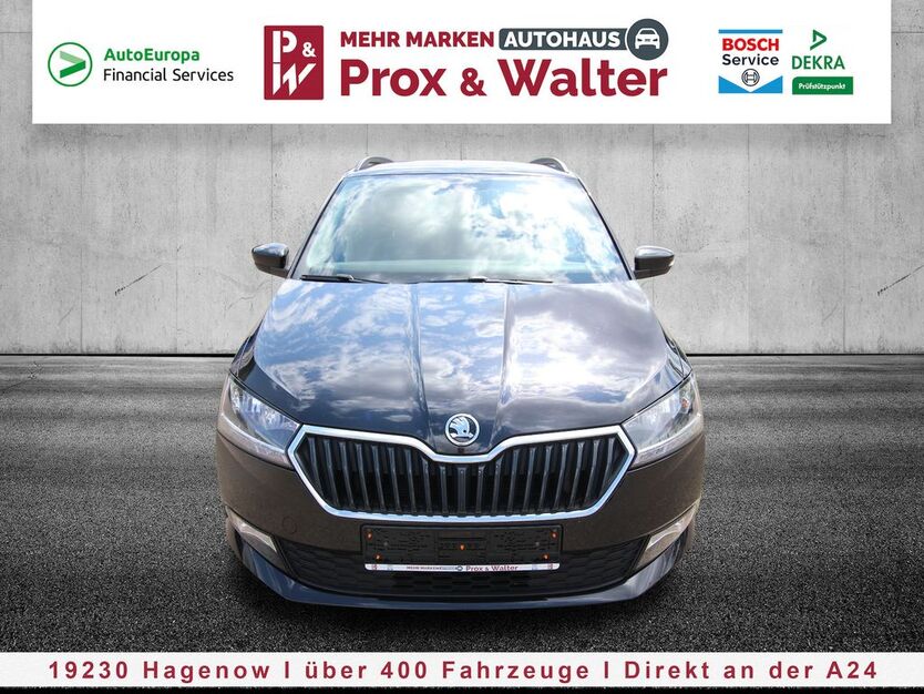 Skoda Fabia 52.393 km 15.900 € Hagenow 19230
