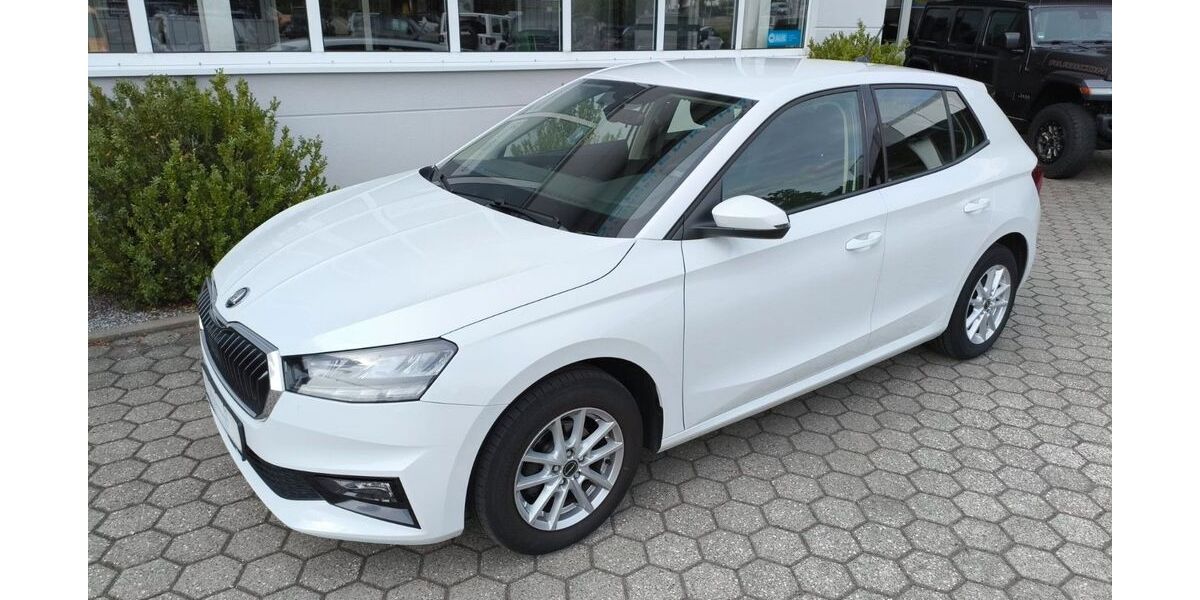 Skoda Fabia 74.150 km 12.490 &euro; Neumarkt 92318