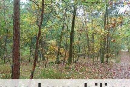 Grundstück Sprakensehl Bokel - 75.000&euro; | Angebot:24688303