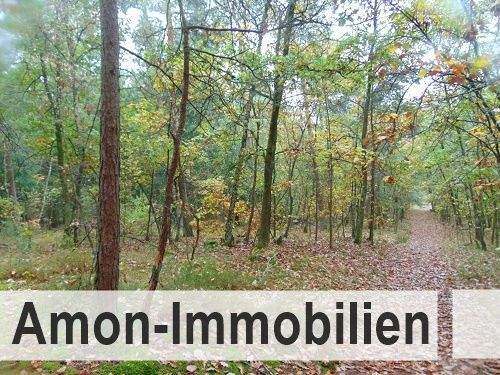 Grundstück Sprakensehl Bokel - 75.000&euro; | Angebot:24688303