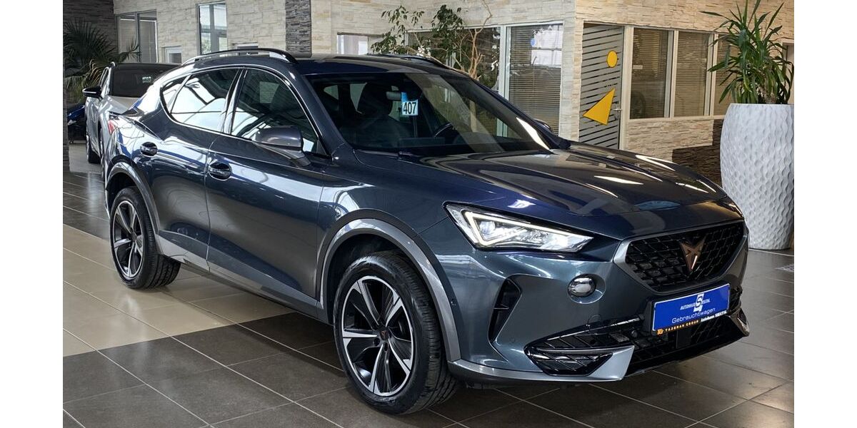 Cupra Formentor 131.800 km 22.000 &euro; Eitorf 53783