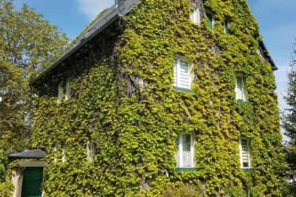 Haus Limbach-Oberfrohna Oberfrohna - 5 Zimmer, 136 m&sup2;, 295.000&euro; | Angebot:25178803