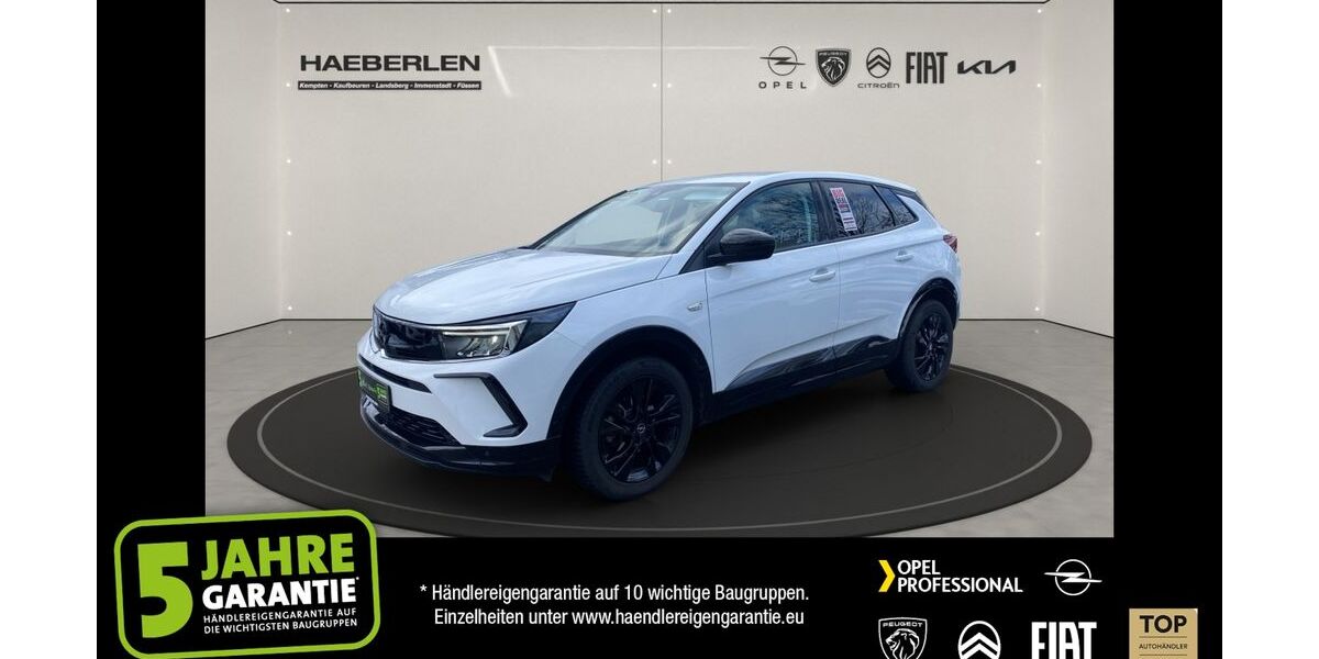 Opel Grandland (X) 19.980 km 19.380 € Immenstadt 87509