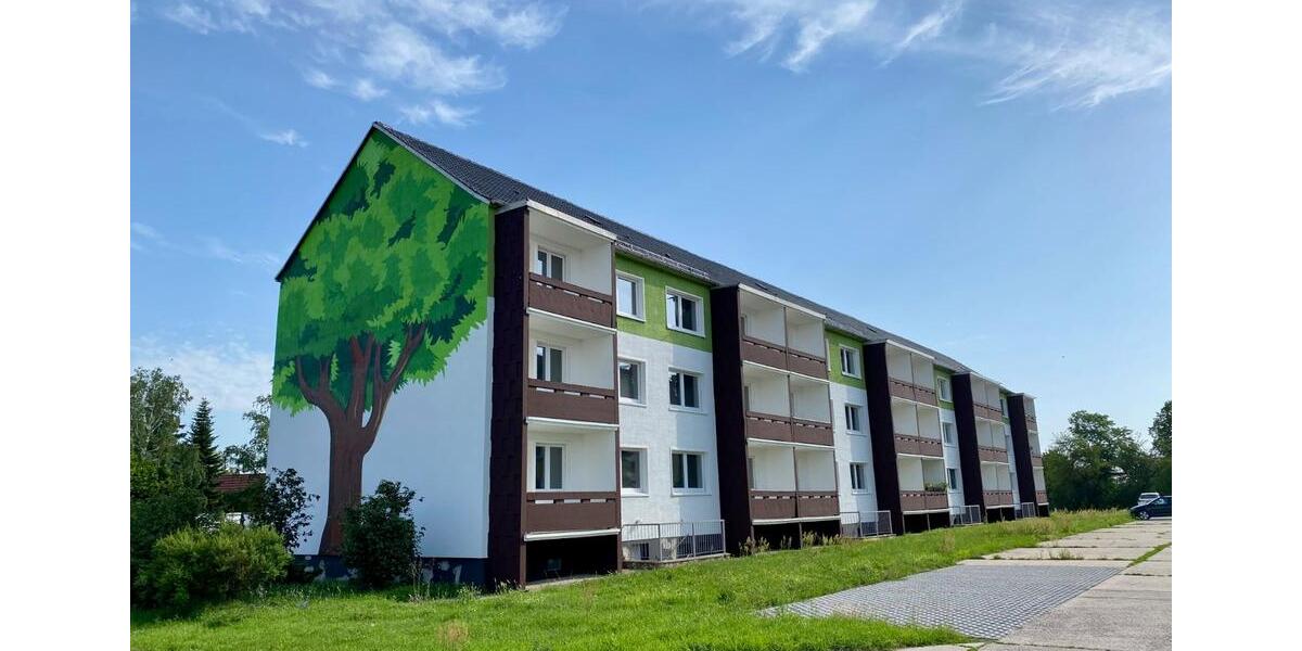 Etagenwohnung Zörbig - 2 Zimmer, 50 m&sup2;, 320&euro; | Angebot:24933900