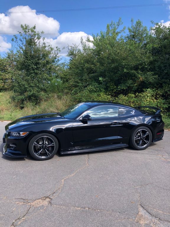 Mustang