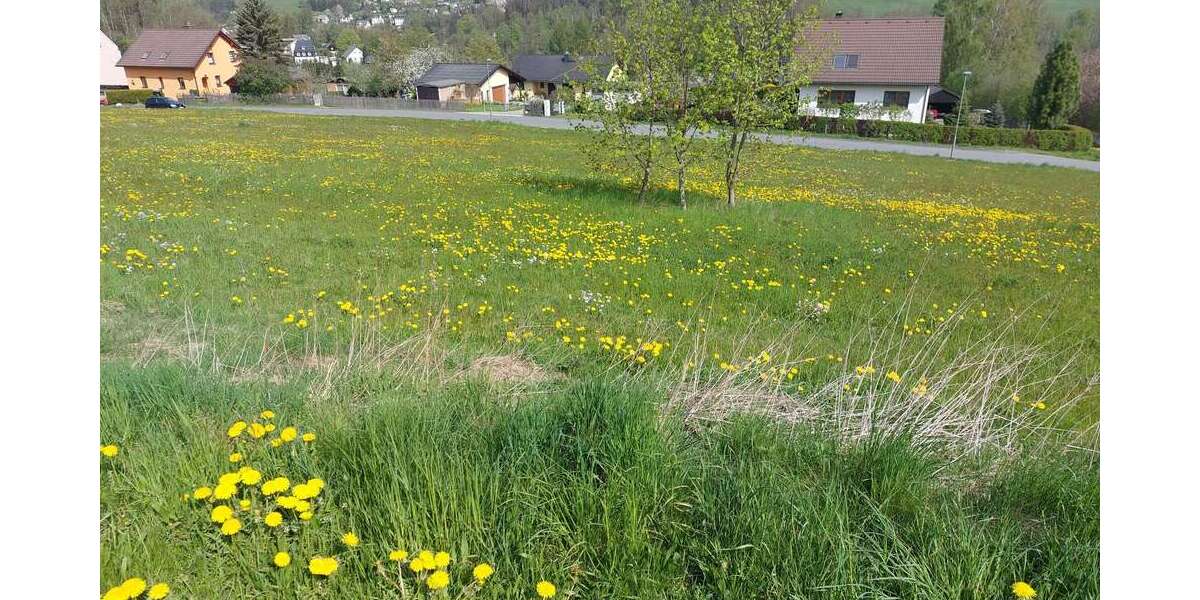 Bauen, wo andere spazieren gehen - Grundstück Burkhardtsdorf-Kemtau Kemtau | Angebot:21212650