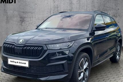 Skoda Kodiaq 111.100 km 32.490 &euro; Dannenberg 29451