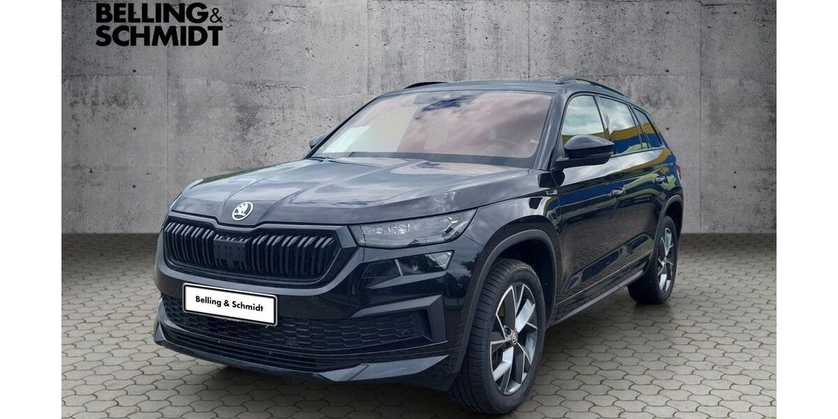 Skoda Kodiaq 111.100 km 32.490 &euro; Dannenberg 29451