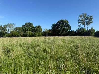 SONNIG, RUHIG & NATURNAH MIT AUSBLICK - Grundstück Riepsdorf | Angebot:26795057