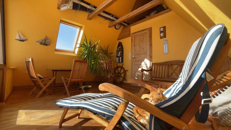 Einfamilienhaus Tellingstedt - 8 Zimmer, 140 m&sup2;, 335.000&euro; | Angebot:26414466
