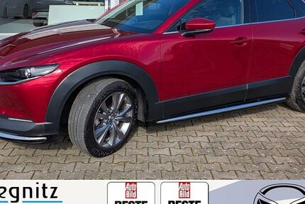 Mazda CX-30 59.206 km 21.990 &euro; Stendal 39576