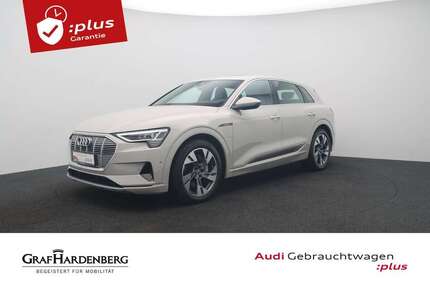 Audi e-tron 41.202 km 41.980 € Karlsruhe 76131